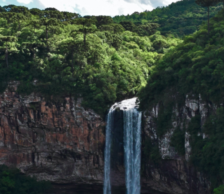 Farol Verde